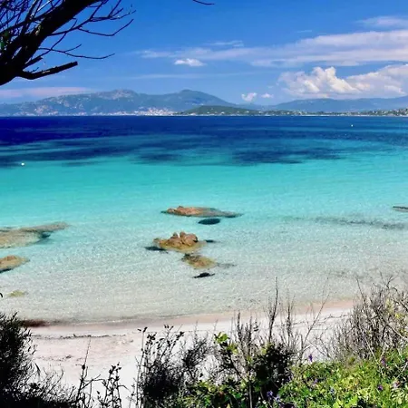 Nouveaute! Magnifique A 2 Minutes Des Belles Plages De La Rive Sud Villa Porticcio (Corsica)