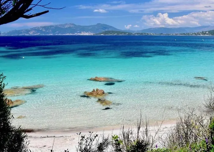 Nouveaute! Magnifique A 2 Minutes Des Belles Plages De La Rive Sud Vila Porticcio (Corsica)